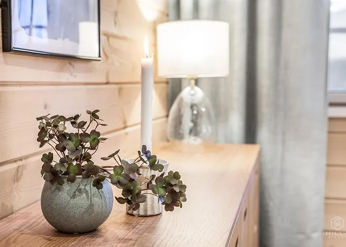 Center Alpine By Hilla * Levi